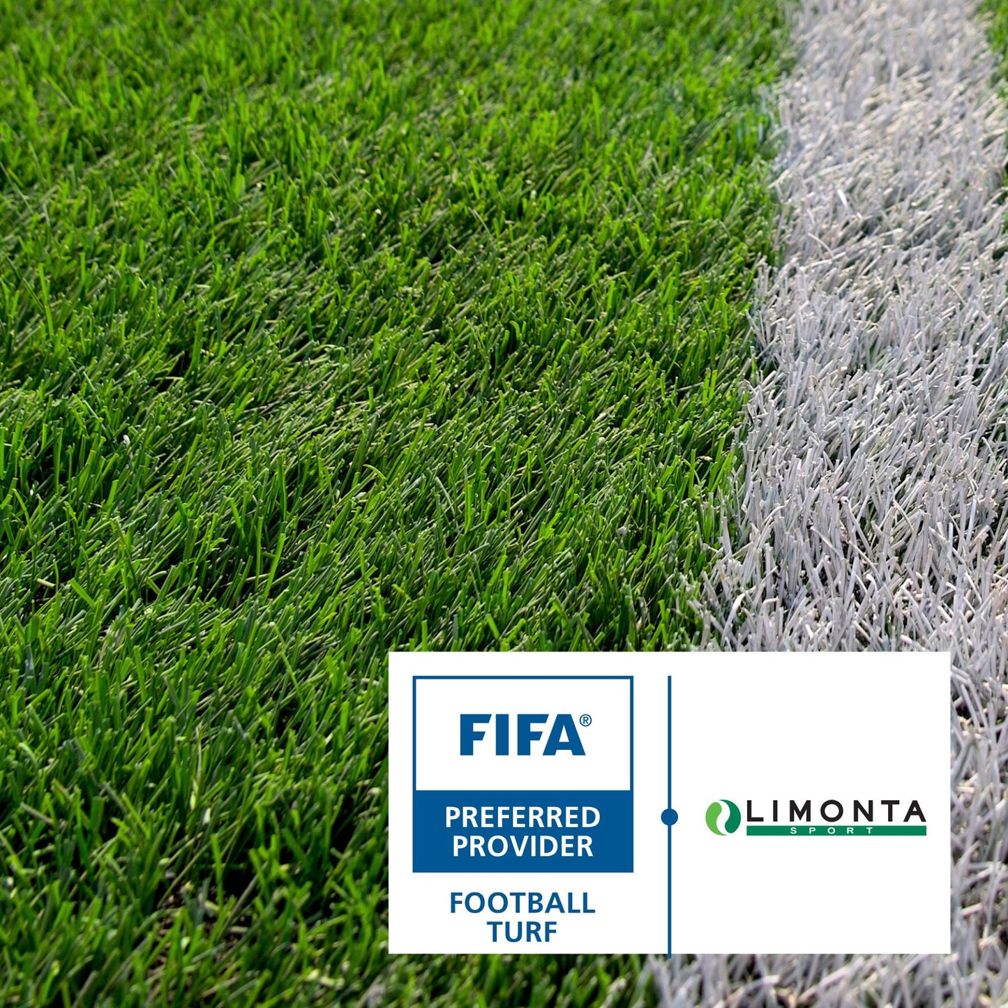 Limonta Sport Top Plus 50 (Non FIFA Certified Artificial Turf)