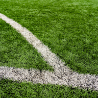 Artificial Turf Systems